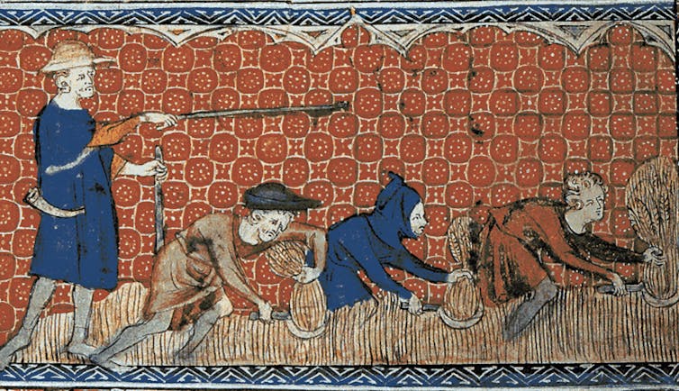 Colour illustration of agricultural workers in a wheat field in the medieval period.