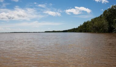 Why safe water is still lacking in the Marajó Archipelago, one of the world’s most water-abundant regions