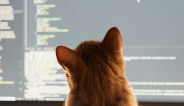 ‘Vibe coding’ is fun and easy, but there’s a major catch