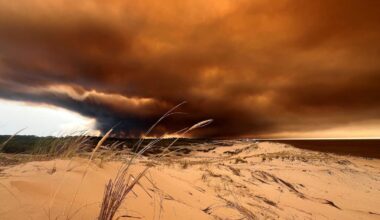 Wildfires: why media coverage doesn’t always make the climate connection
