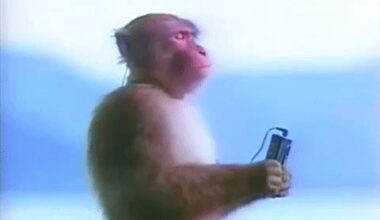 The Monkey Supply Chain - by Nick Corvino