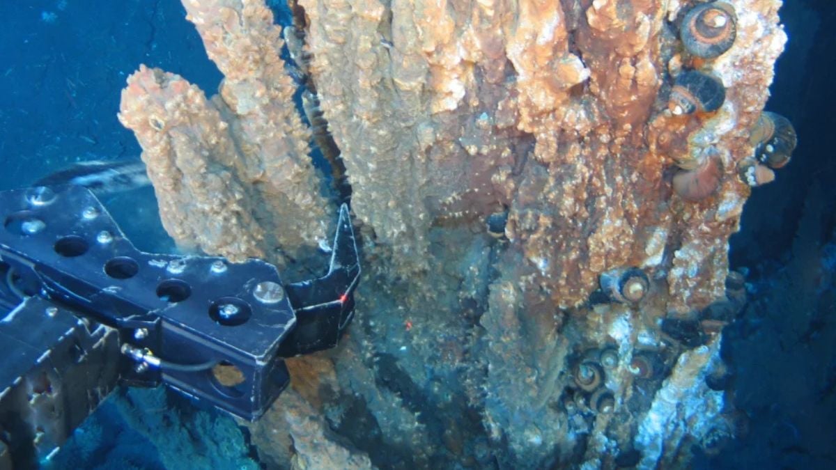 Scientists Found Invisible Gold Hiding in The Seafloor at Record-Breaking Concentrations