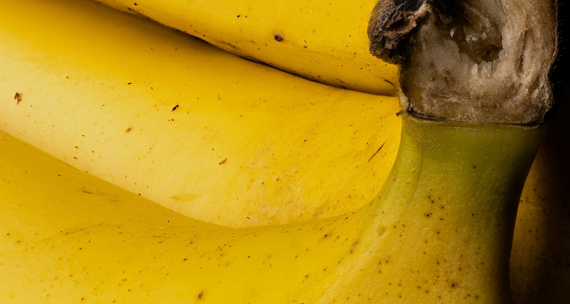 Why cheap bananas may be a thing of the past as 2025 prices shift- FreshFruitPortal.com