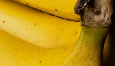 Why cheap bananas may be a thing of the past as 2025 prices shift- FreshFruitPortal.com