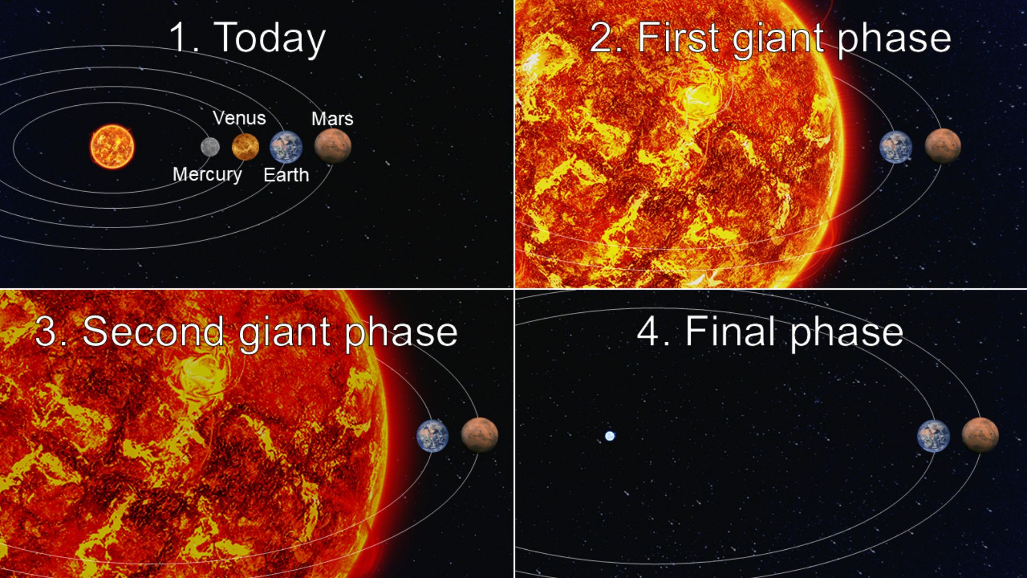 A diagram showing what the phases of the sun dying are.