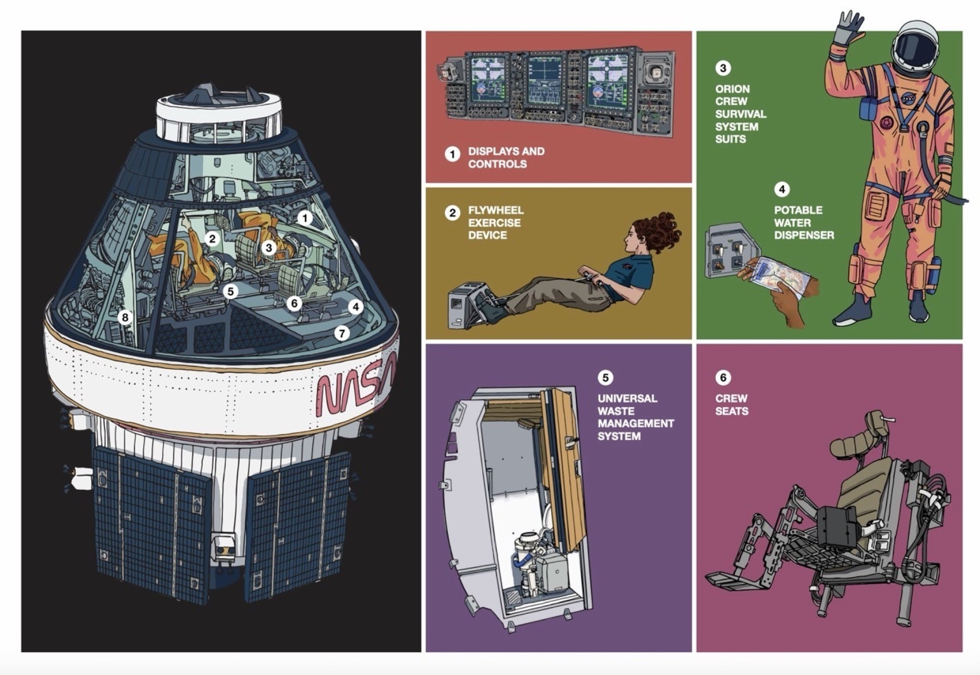 An illustrator's rendering of Orion's interior