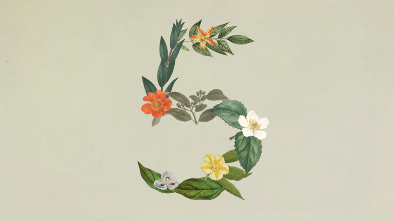 Illustration of the number 5 printed with drawings of leaves and flowers.