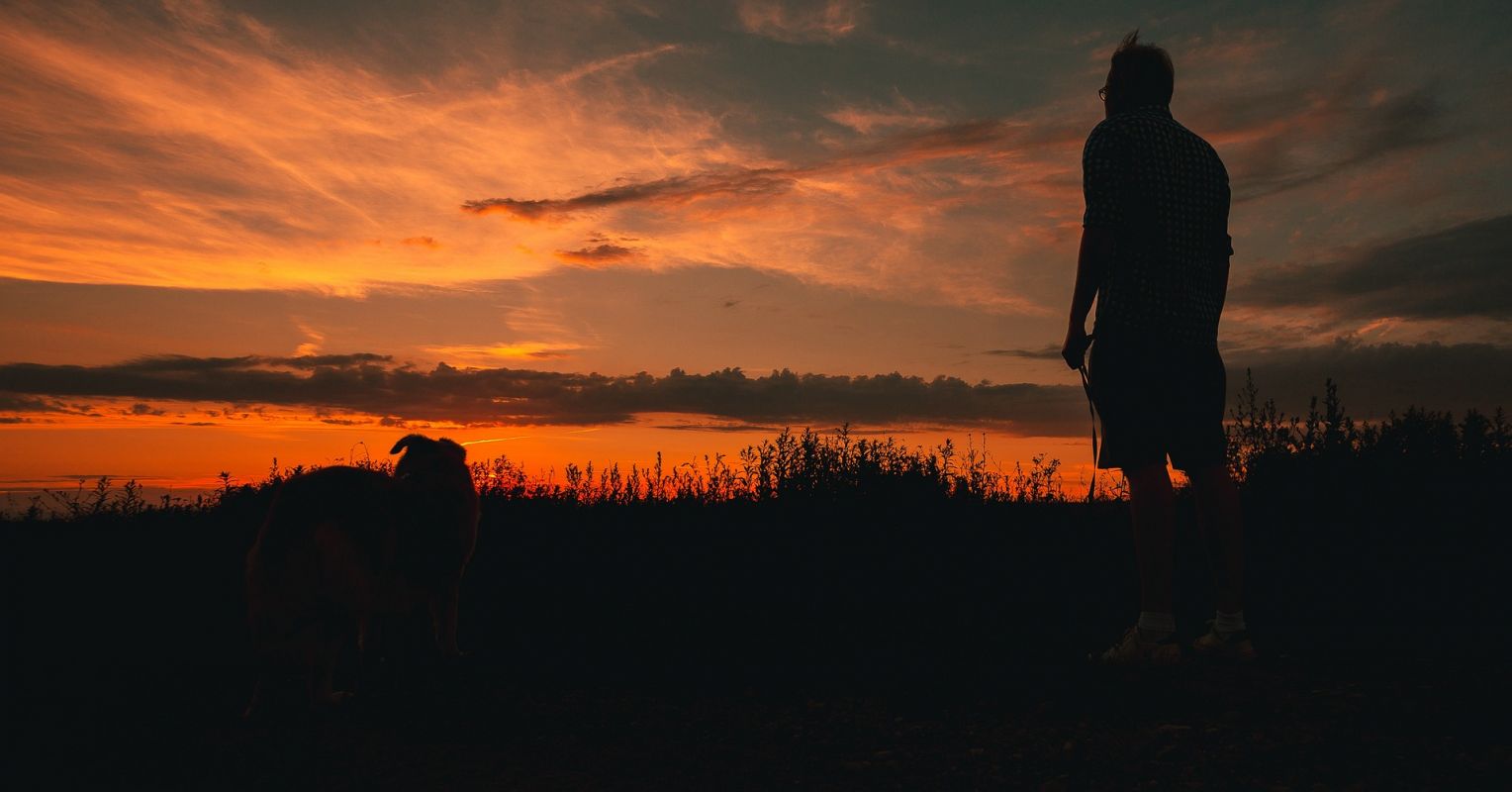 Seeing Green: Nature Immersion Has Its Benefits
