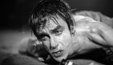 Iggy Pop in 1977