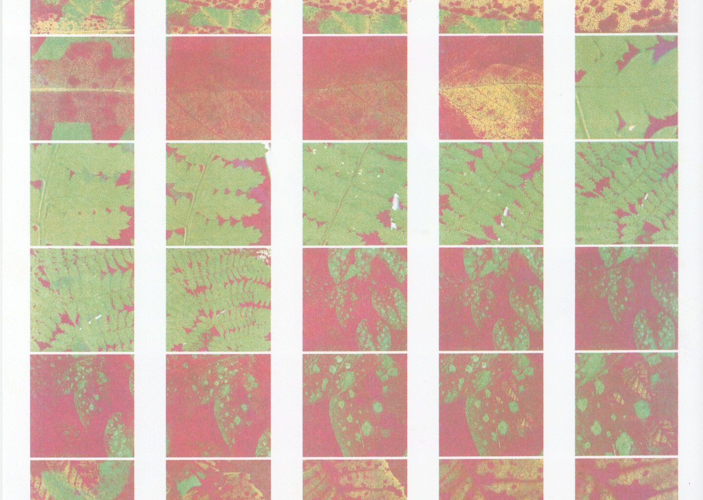 Valeria Homayden turns microscopic observations into mesmerising Risograph animations