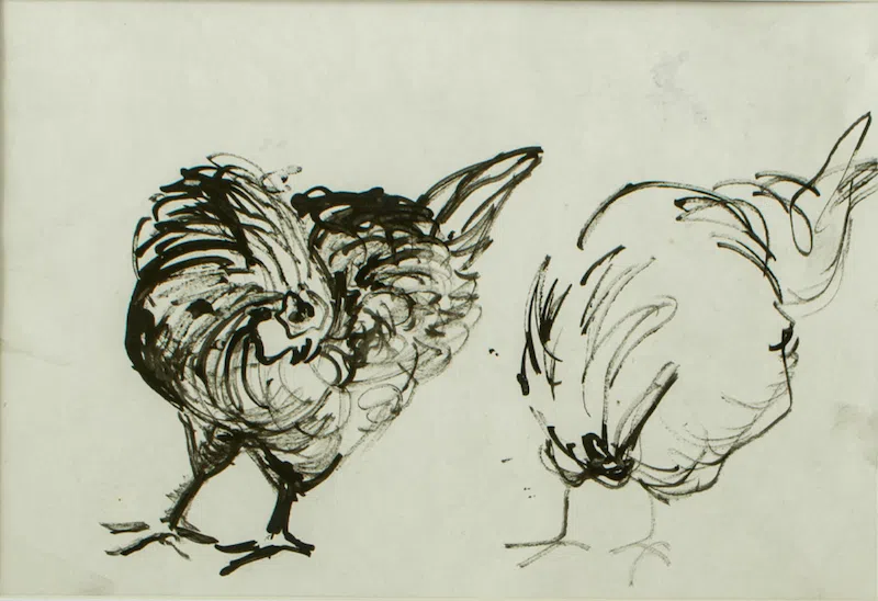 Chicken 1 (1996), Ink on Paper, Isabelle Debray