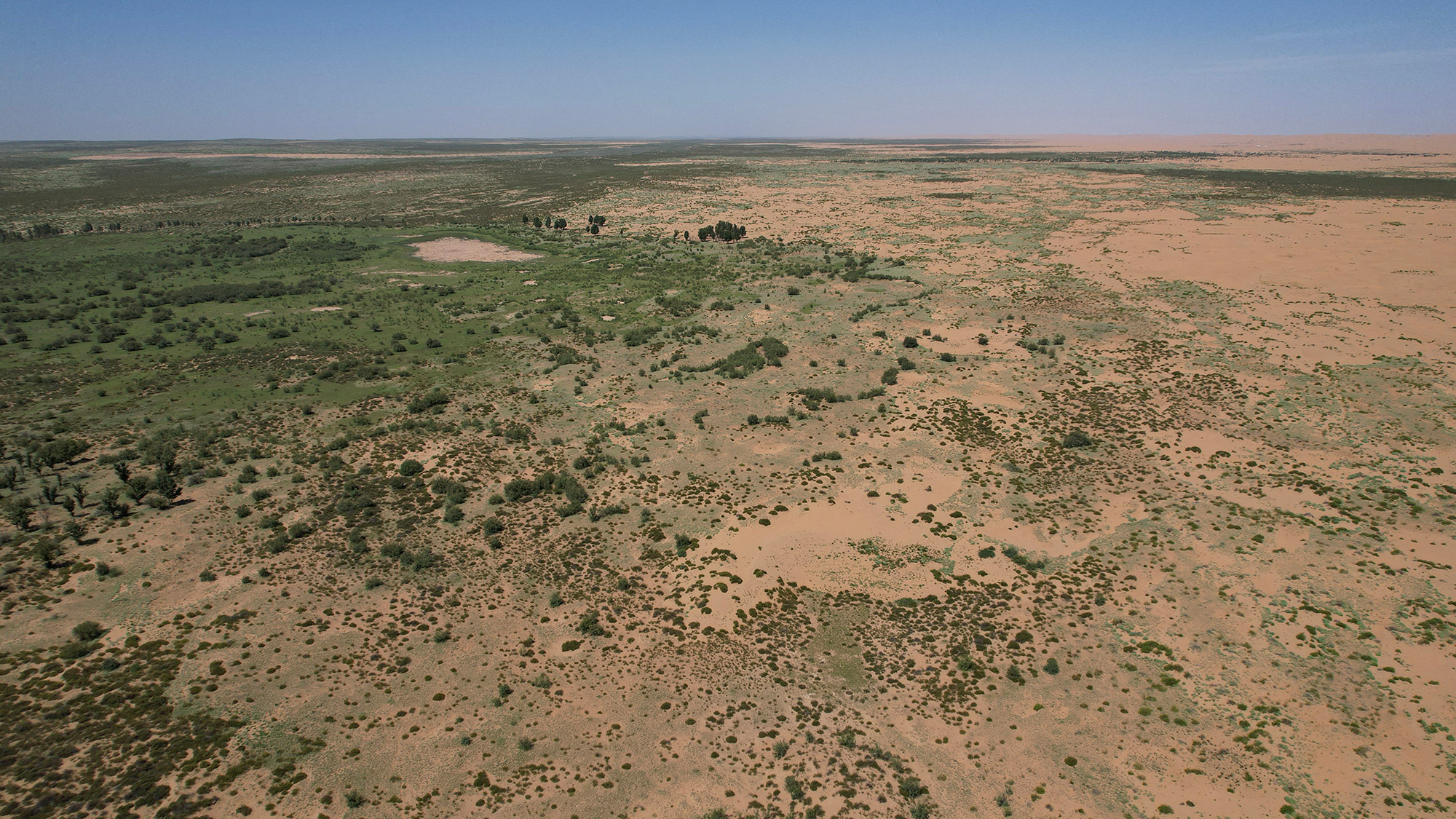 An aerial view of a forest next to a barren landscape