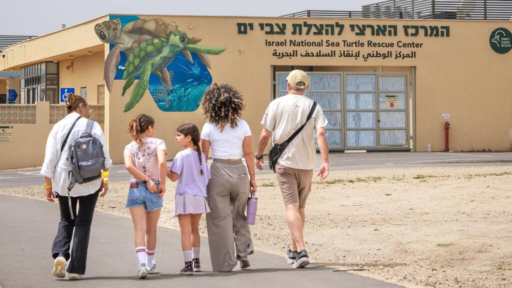 The National Sea Turtle Rescue Center 