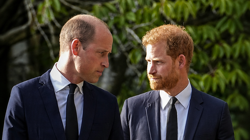 Prince William understands Charles’ reunion with Harry, but won’t rebuild the bond