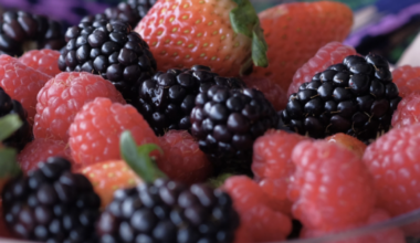 Forget the supplements, and bring on the berries