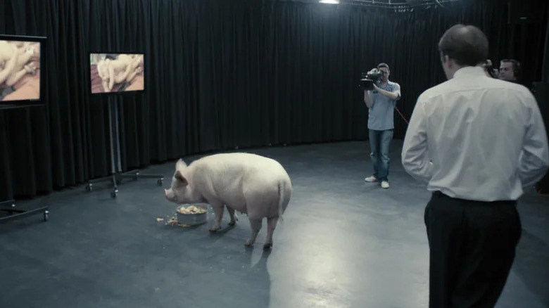 Rory Kinnear's Michael Callow approaching a pig on Black Mirror