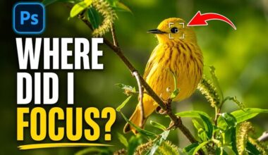 Camera Raw Focus Points: The Hidden Right-Click Feature