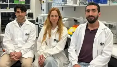 Israeli scientists work out how cancer hijacks immune system