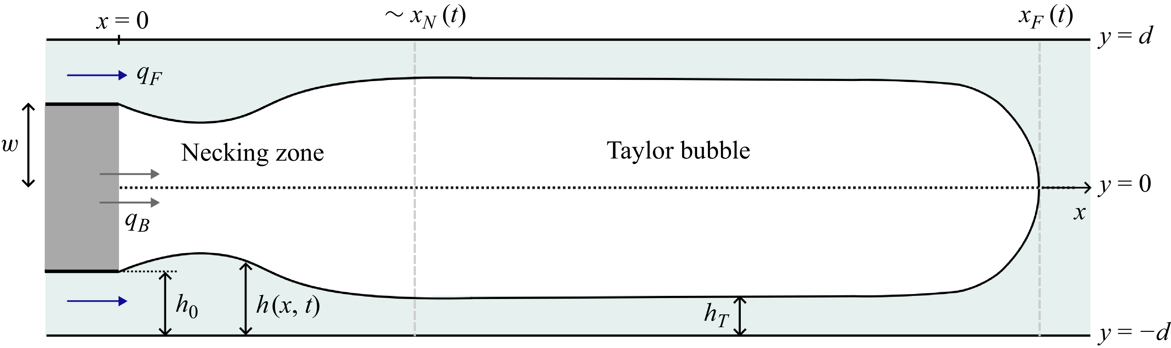 Diagram of a developing Taylor bubble in a microfluidic device.