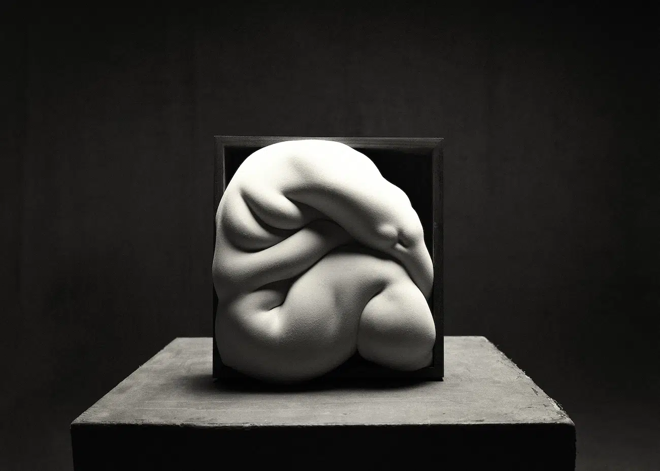 Installation View of Vincent Lagrange's Never Enough