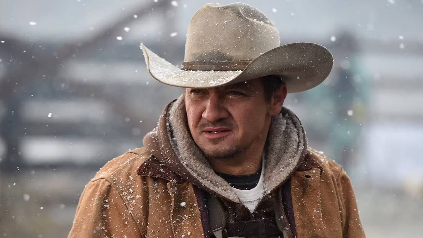 Jeremy Renner's 5 Best Movie Masterpieces, Ranked