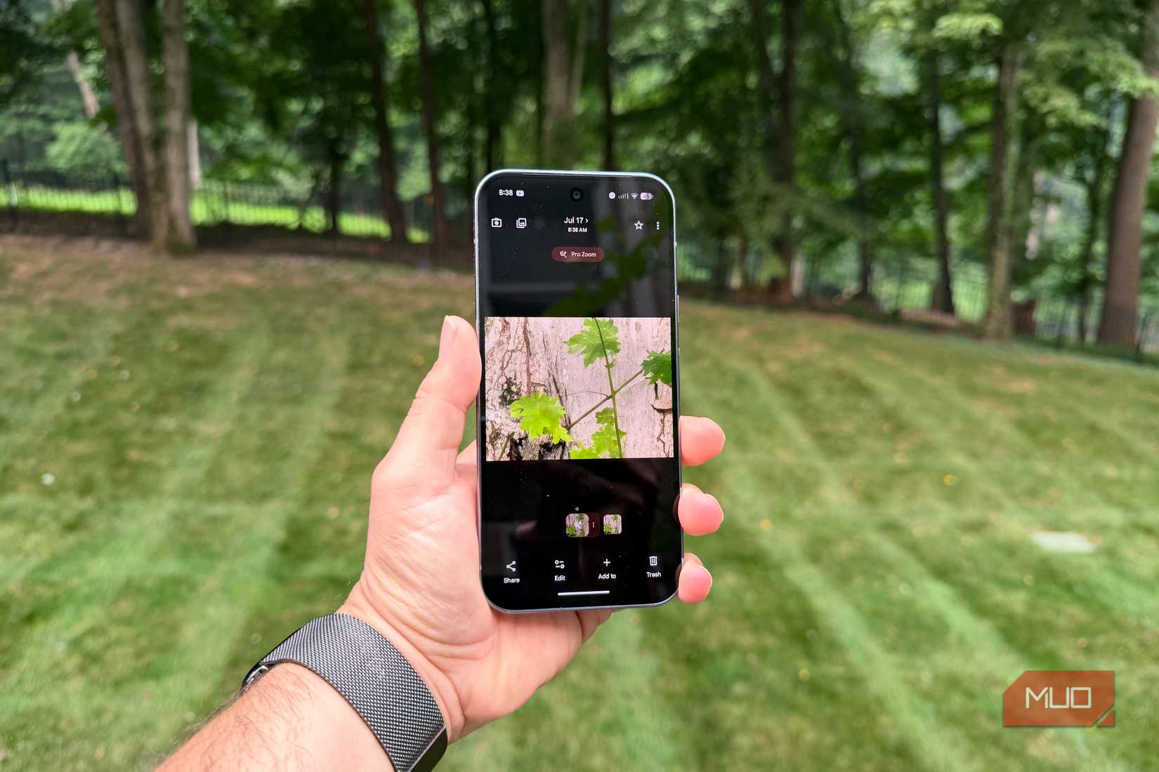 pro zoom on pixel