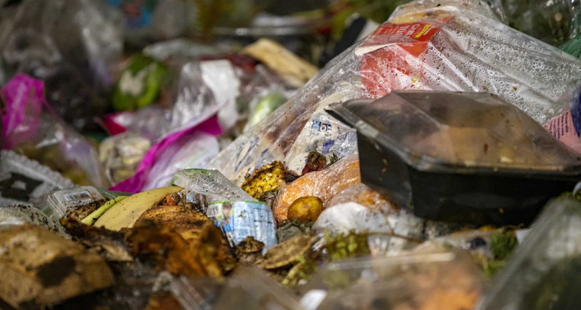 Recycling food waste is good for the climate, but could add microplastics to soil, study finds