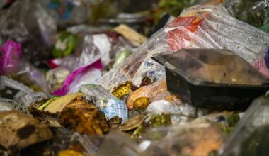 Recycling food waste is good for the climate, but could add microplastics to soil, study finds