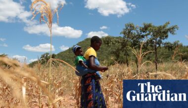 El Niño could push 50m people into acute hunger before end of next year | El Niño southern oscillation