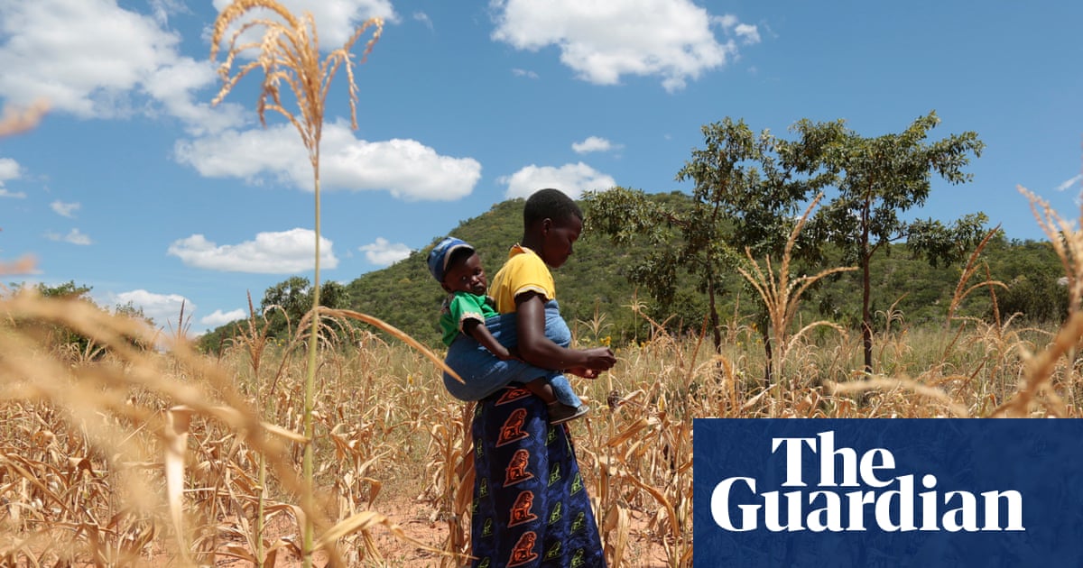 El Niño could push 50m people into acute hunger before end of next year | El Niño southern oscillation