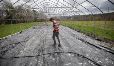 Maine shifts focus to mental health as PFAS crisis deepens