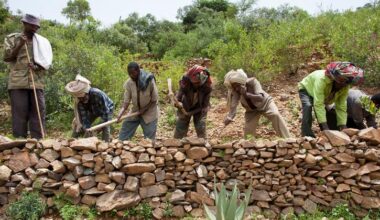 Protecting our ‘most vital infrastructure’: Pushing back on desertification