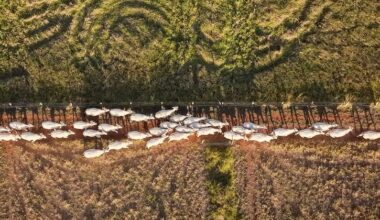 Land models sprout as degradation threatens billions of livelihoods