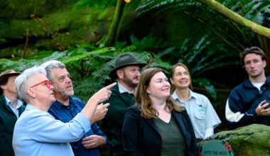 H5N1 avian influenza vaccine: Taronga Zoo trials new rollout for little penguins and endangered bird species