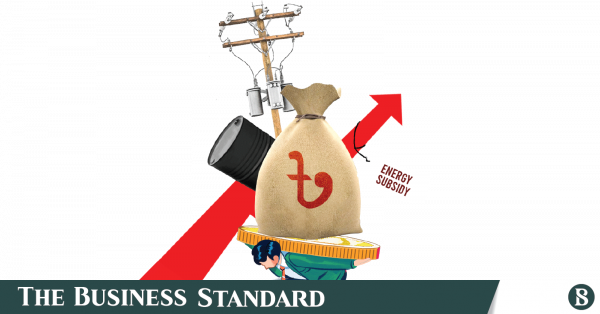 Govt to watch global energy prices for 3 months before price revision