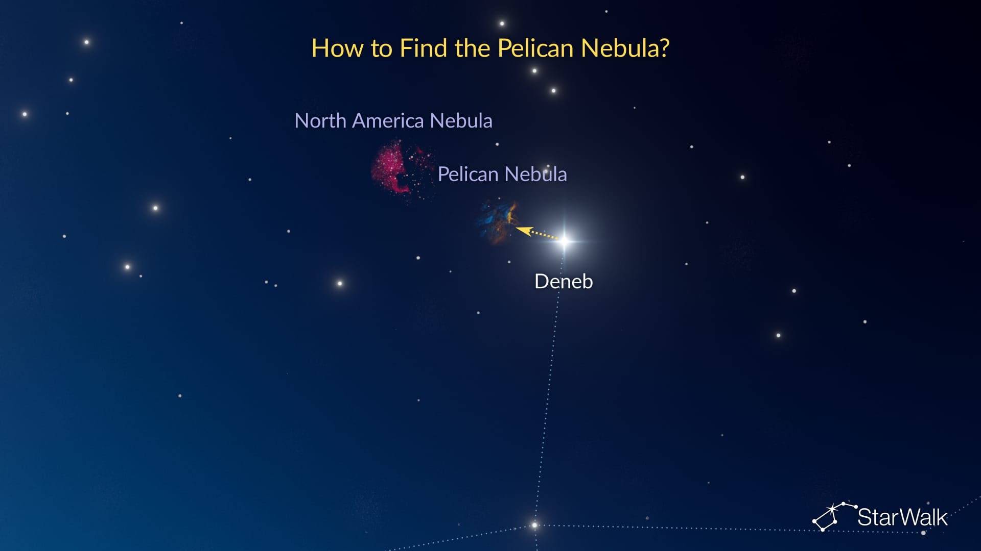 The Pelican Nebula – How to Find