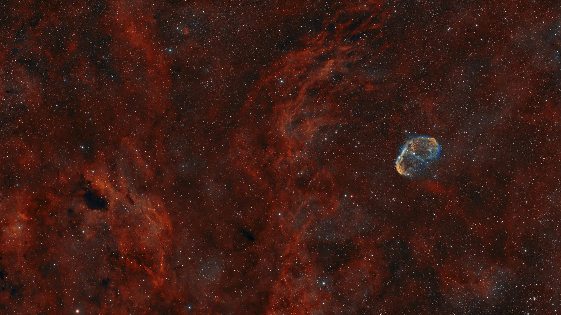 NGC 6888 (Crescent Nebula) — Tom Gleichmann