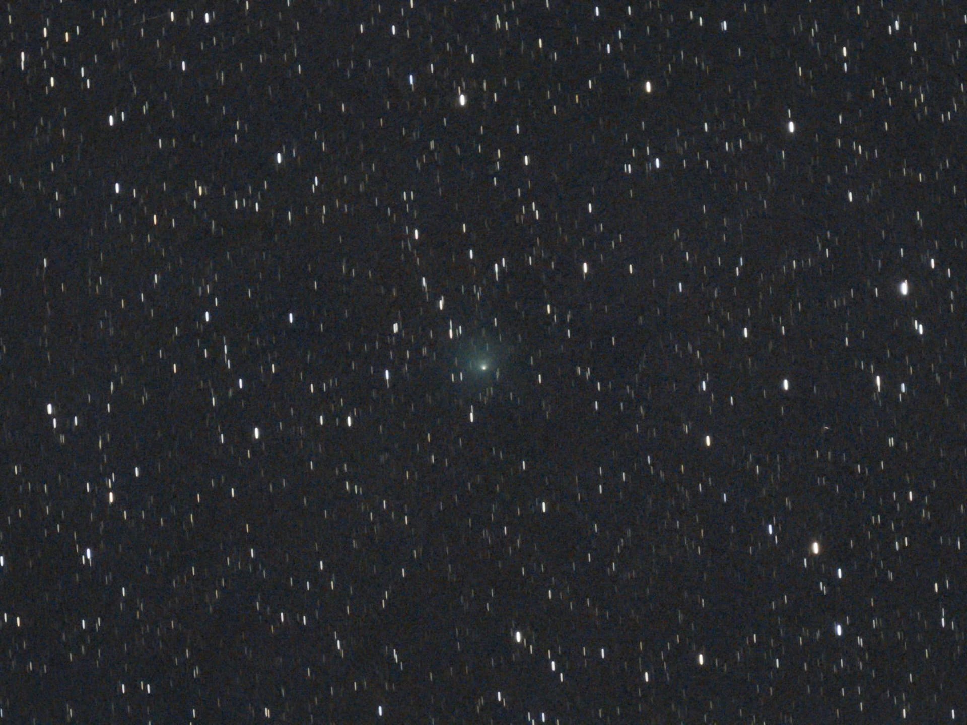 Comet 10P/Tempel 2 under moonlit skies