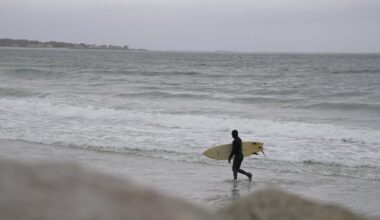 Shark sighting shuts down swimming at Biddeford beaches