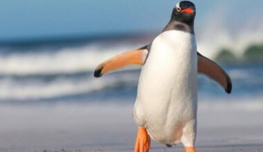 Linus Torvalds says AI has made 'huge' Linux kernel updates the new normal