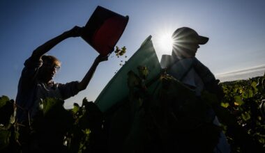 Environmental groups challenge FCC approval of startup’s plan to beam on-demand sunlight from space