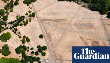 England’s climate is changing and our planting must change with it | Plants