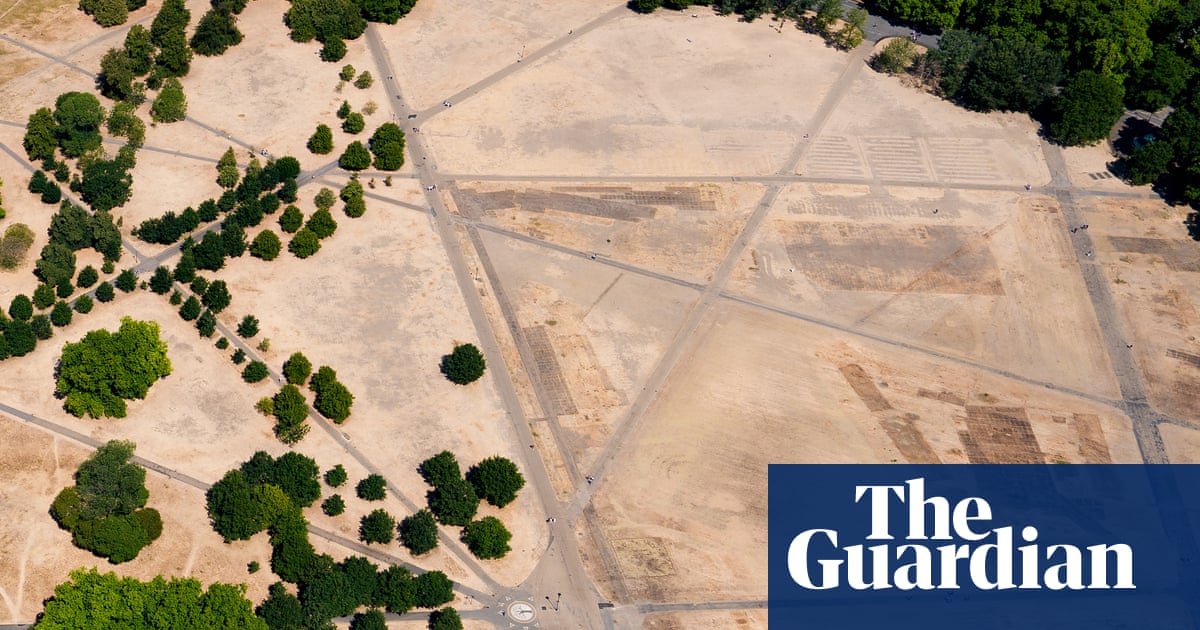England’s climate is changing and our planting must change with it | Plants