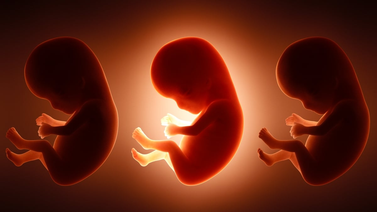 It's Not Just Mom's Diet: Father's Junk Food Habit May Shape His Unborn Baby : ScienceAlert