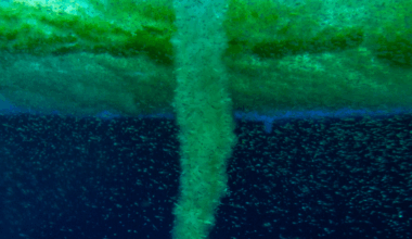 "As it touches the seafloor, it kills whatever living thing it contacts by encasing it in a tomb of ice…" Discover the finger of death