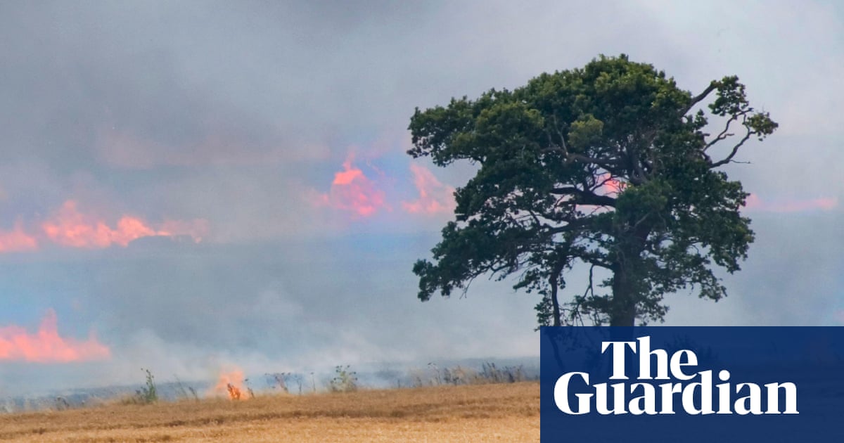 Country diary 1976: As a lone tree burns, the landscape loses another memory | Farming