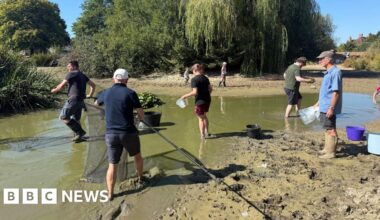 Kent communities rally to keep wildlife safe in heat - BBC