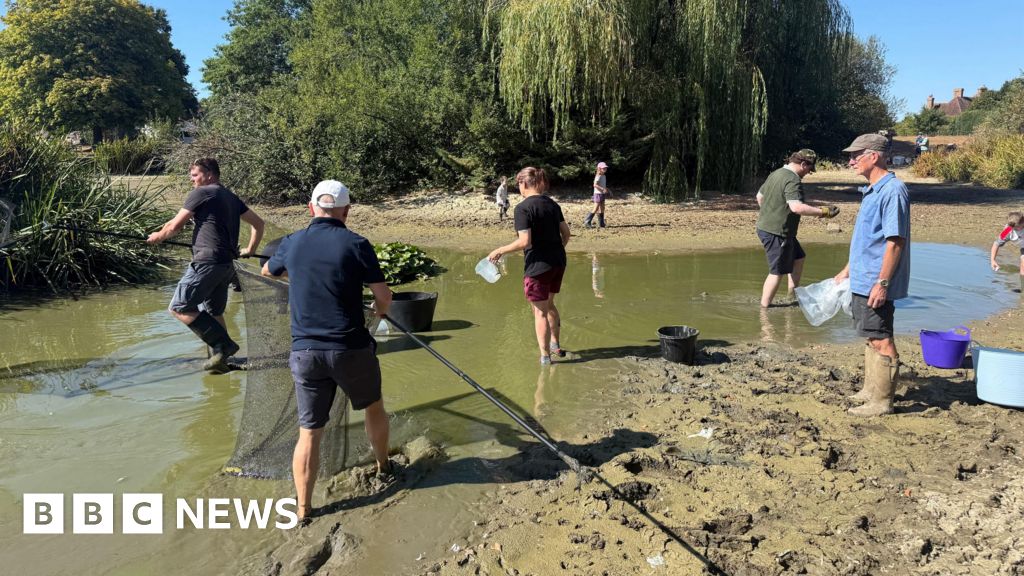Kent communities rally to keep wildlife safe in heat - BBC