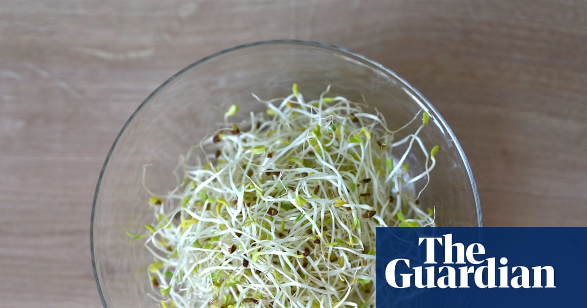 Alfalfa sprouts linked to food-poisoning outbreak in 15 states, US officials say | US news