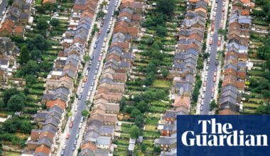 Weatherwatch: Paving over front gardens is leading to hotter nights | Gardens